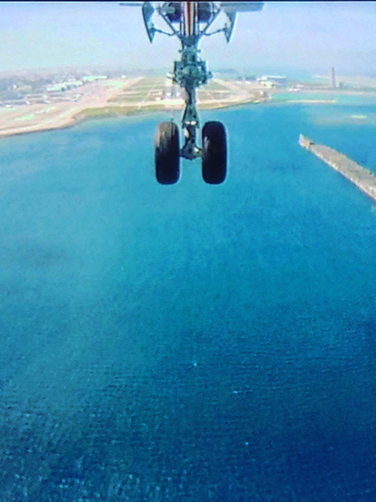 カーゴショーツ
